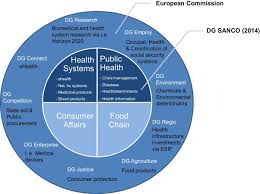 Amendment to organisational chart 6: The Directorate General For Health And Consumers 1999 2014 An Assessment Of Its Functional Capacities Sciencedirect