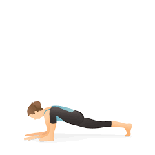 Pin By Shakti360 On Lizard Pose In 2020 Lizard Pose Yoga Yoga Poses Lizard Pose