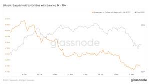 Your gateway to bitcoin & beyond. Number Of Bitcoin Wallets Holding 100 1k Btc Soars After Tesla S 1 5b Buy In