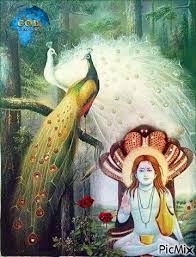 Sidh baba balak nath, also known as paunahari or dudhadhari, is a hindu deity. Jai Baba Ji Di Picmix