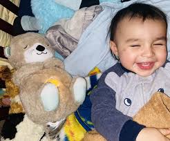 Fisher-Price Soothe 'n Snuggle Otter Baby Sound Machine with Rhythmic  Breathing Motion