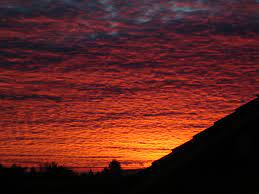 Maybe you would like to learn more about one of these? Langit Merah Pada Pagi Hari Wikipedia Bahasa Indonesia Ensiklopedia Bebas