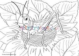 Includes images of baby animals, flowers, rain showers, and more. Grasshopper Scene Colouring Page