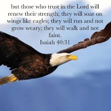 Isaiah 40 31 Faith Prayer Holman Christian Standard Bible Bible Apps