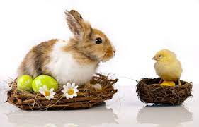 Ostern gehört zu den beweglichen feiertagen, deren kalenderdatum jedes jahr variiert. Wann Ist Ostern 2021 Feiertage Ferien Termin Karfreitag Und Co In Deutschland
