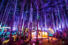 Electric Forest 2022 Schedule Electric Forest 2022 - Music Festival Wizard