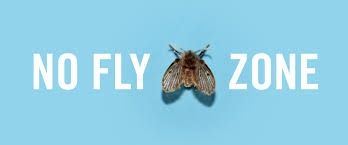 Drain fly treatment should only begin once the breeding ground has been determined. Get Rid Of Drain Flies In Restaurants And Foodservice No Fly Zone
