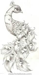 Www.cartonionline.com> coloriages > coloriage de rev e roll >. Coloriages Zen Pour Adultes Coloriage Zen Dessin Paon Dessin