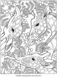 Acacia, commonly known as the wattles or acacias, is a large genus of shrubs and trees in the subfamily mimosoideae of the pea family fabaceae. 50 Printable Adult Coloring Pages That Will Help You De Stress During The Holidays Giraffe Coloring Pages Animal Coloring Pages Free Adult Coloring Pages