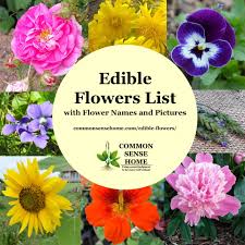 Flower names that start with the letter e. Edible Flowers List With Flower Names And Pictures