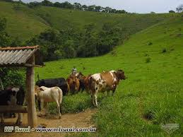 We did not find results for: Sitio A Venda Em Lima Duarte Mg Em Lima Duarte Mg A Venda 214525
