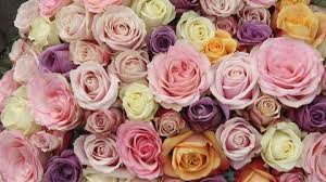 Quant au bleuet, il apporte tendresse et délicatesse à votre bouquet de mariage, notamment s'il est d'un bleu pur. Mariage Les Fleurs A Eviter Lys Chardons Glaieuls L Express Styles