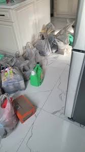 Pin By Brenda Perez On Tiktok Videos Home Appliances Dyson Vacuum Vacuums