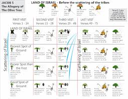 Jacob 5 The Allegory Of The Olive Tree Lachish Letters