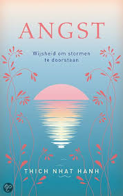 Angst Thich Nhat Hanh 9789025902964 Boeken Thich Nhat Hanh Boeken Boeken Om Te Lezen