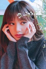 Apr 19, 2020 · like lisa and jennie, rosé's net worth is likely around the $6 million to $8 million mark based on the $25 million that blackpink makes each year, with the addition of her other jobs. Hd Wallpaper Lisa Blackpink Lisa Tapete 640x960 Wallpapertip