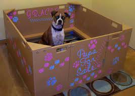 whelping box construction plans whelping box dog whelping box dog whelping