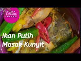 Menurut penelitiannya, kunyit putih dapat digunakan untuk merawat pasien kanker rahim, payudara, dan usus besar. Ikan Putih Masak Kunyit Youtube