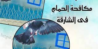 شركات مكافحة الحمام في الشارقة sharjah poster movie posters