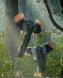 Photograph By Trikansh Sharma Use Mypixeldiary For Getting Featured For Queries And Questions Please Connect Wild Photography Peafowl Nature Animals