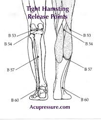 Leg Tightness Stiffness Press Briskly Rub The Points In The Back Of Your Leg Plus Stretch In A Standing Positi Acupressure Acupressure Points Acupuncture