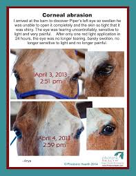 Pin On Red Light Therapy