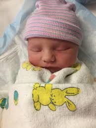 Sue's News: November 2017