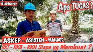 Lihat apa kemahiran lembut yang anda perlukan. Skop Tugas Kerani Tapak