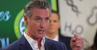 Bush pilot who destroyed Netflix star Chris 'Willow' Wilson's phone after  fatal helicopter crash could be resentenced