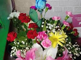 Flowers by nancy bronx ny. Diana S Flower Shop 1171stratford Ave Bronx Ny Floristeria En Bronx