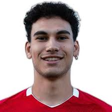 Profile Stefan Mitrev, Dietikon: Info, news, matches and statistics