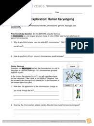 You could purchase lead karyotyping gizmo answers or get. Human Kar Yo Typing Se Karyotype Chromosome