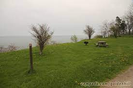 Check spelling or type a new query. Golden Hill State Park Campsite Photos Site 31