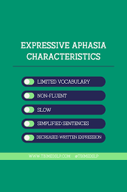 Image result for Aphasia