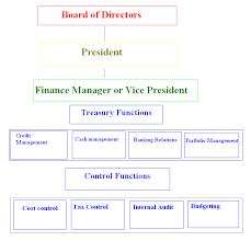 place of financial management in organization structure