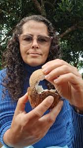 Tratamento da Pneumonia com Antibióticos Injetáveis