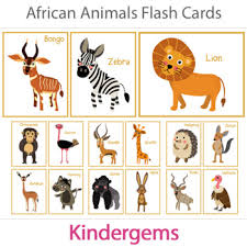 Asian animals are distributed all over the continents countries, which are china, india, vietnam, philippines, mongolia, indonesia, iraq, and sri lanka. African Animals Flash Cards For Preschool Kindergarten By Kinder Gems Store