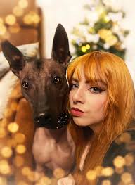 Merry Christmas everyone from us to you 💙🎄✨