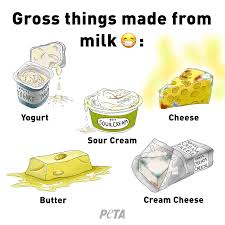 Gross Things Made From Milk Cow S Milk Vegetarian Life Cheese Sour Cream