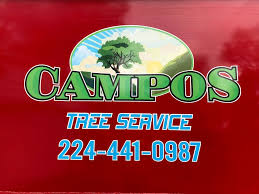 Find one that's right for your home at a palatine, il area christmas tree farm. The 10 Best Tree Trimming Services In Palatine Il 2021