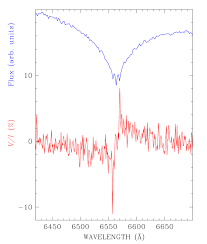 Searching For The Weakest Detectable Magnetic Fields In