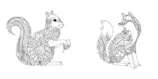 Enchanted forest coloring book fox. Enchanted Forest An Inky Quest And Coloring Book Activity Books Mindfulness And Meditation Illustrated Floral Prints Basford Johanna 6063887956574 Amazon Com Books