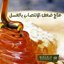 علاج ضعف الانتصاب بالعسل Food Honey