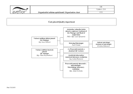 organizational structure of the company manufacturer of