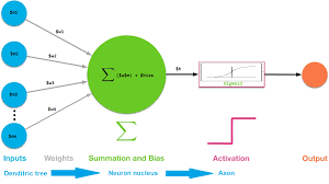 A few weeks ago, when i started to learn about neural networks, i found that the quality of introductory. Happy Sysadm Artificial Neural Networks In Powershell Part 1