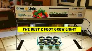 Ferry morse alaska pea seeds amazon bundle comes with a total of 10 alaskan pea seed packets will grow to 15 inches tall. The Best Grow Light For Starting Seeds Youtube