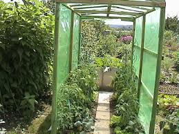 Tomatenhaus Gartentomatenhaeuschen Jpg Garten Gewachshaus Garten Tomaten Haus