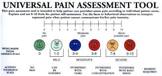 Pin On Pain Scales Tools