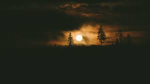Will be revealed in september. 7 Haunted Campgrounds To Visit This Halloween Outdoorsy Com