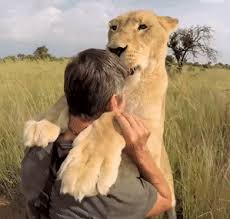 I Ve Got That Power Power Power With You Here I Ve Got That Power Fanfiction Fanfiction Amreading Books Wa In 2020 Cute Animals Animals Friends Funny Animals